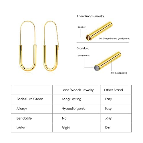 Lane Woods Minimalist Hoop Earrings: Gold Plated Trendy Jewelry for Women